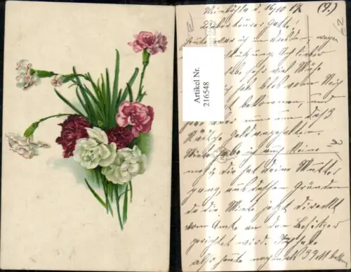 216548,Blumen Nelken