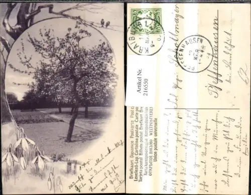 216550,Fotomontage Baum Blumen Schneeglöckchen Passepartout