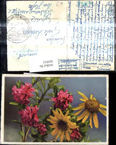 263912,Alpenflora Blumen Alpenrose Arnica