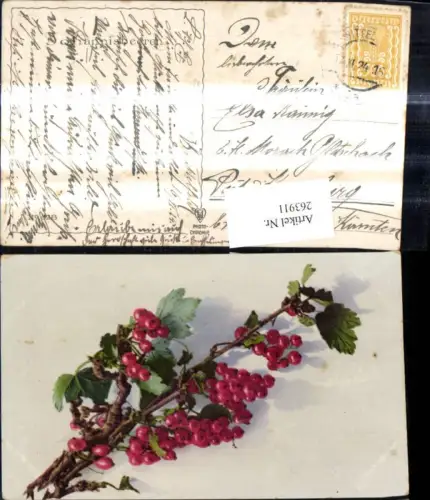 263911,Früchte Obst Johannisbeeren Zweig