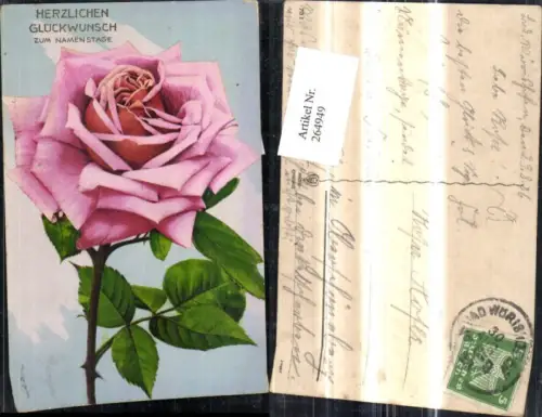 264949,Blumen Rosa Rose Blüte Namenstag