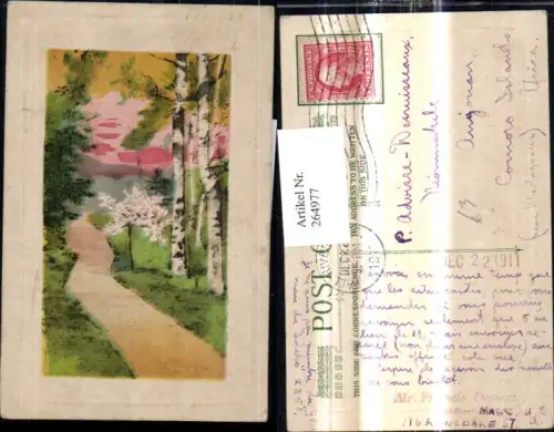264977,Künstler Ak Bäume Birken Weg Landschaft Passepartout