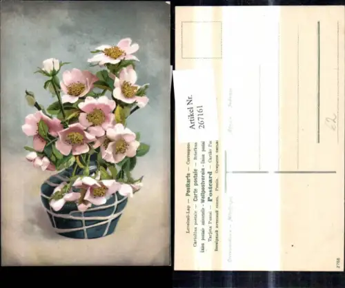 267161,Blumen Topf m. Schneerosen Blumentopf