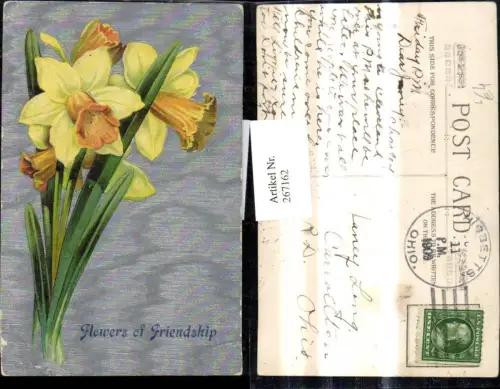267162,Präge Litho Blumen Gelbe Narzissen