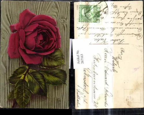 267163,Blumen Rote Rose Blüten