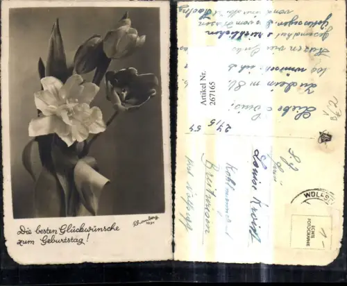 267165,Foto Ak Blumen Tulpen erblüht Geburtstag pub Rhomberg 1071