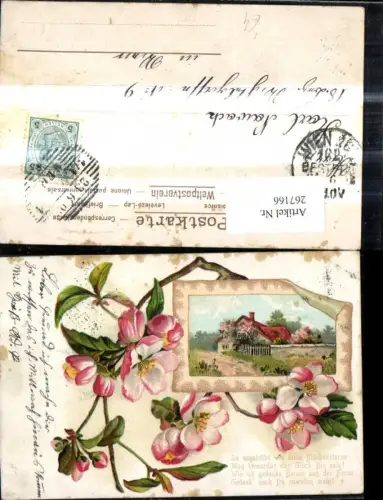 267166,Litho Bäume Blütenzweig Apfelbaum Haus Passepartout