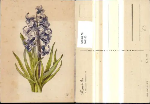 268163,Künstler Ak T. Hellbusch Blumen Hyazinthe