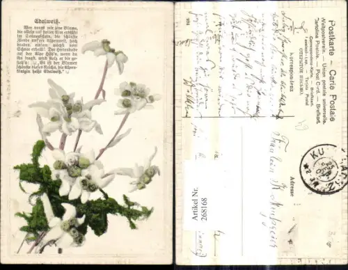 268168,Blumen Alpenflora Edelweiß Text