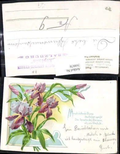 268878,Litho Blumen Schwertlilien Rahmen Text Stempel I. Salzburger Gebirgs Verein Alpinia Salzburg