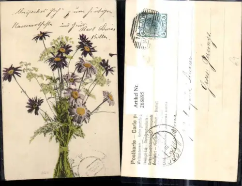 268895,Blumen Lila Margeriten Strauß