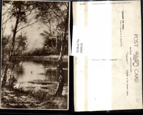 268918,Künstler Ak E. Parton Through the Trees Bäume Birken a. Ufer See Teich Landschaft