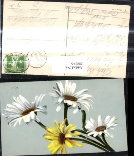 289246,Blumen Weisse u. Gelbe Margeriten