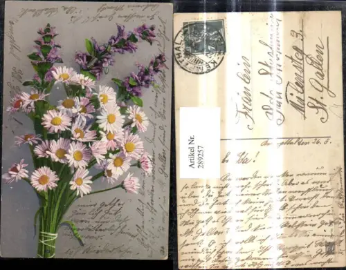 289257,Blumen Strauß Gänseblümchen Dunkelvioletter Günsel