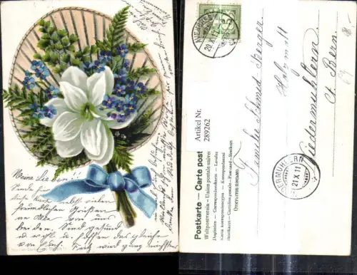 289262,Litho Blumen Weiße Blüte Vergissmeinnicht Fächer Blaue Schleife