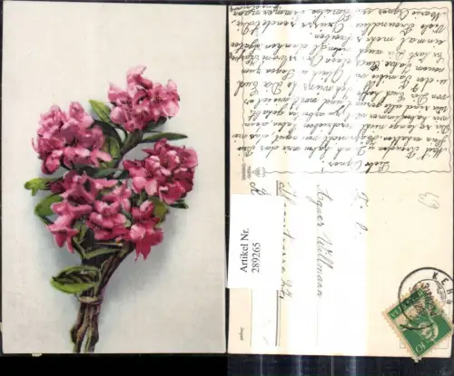 289265,Blumen Rosa Oleander Zweige