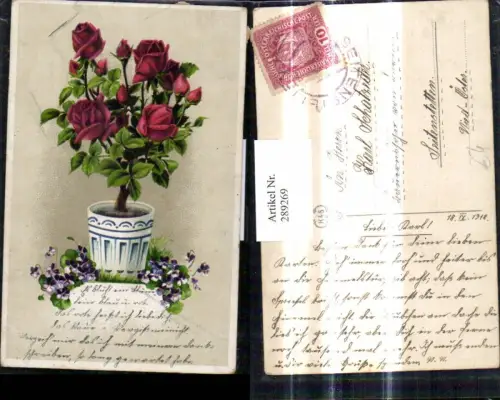 289269,Blumen Rote Rosen i. Topf Rosentopf Veilchen