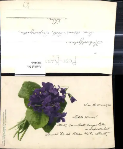 300466,Blumen Veilchen Strauß pub Martin Rommel Co 521