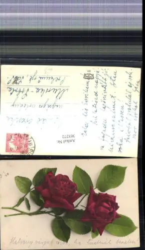 303272,Blumen Rote Rosen Blüten