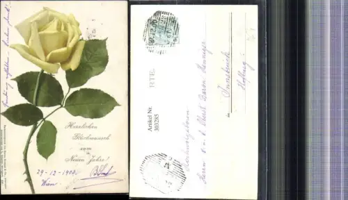 303285,Blumen Gelbe Rose pub Martin Rommel Co 526