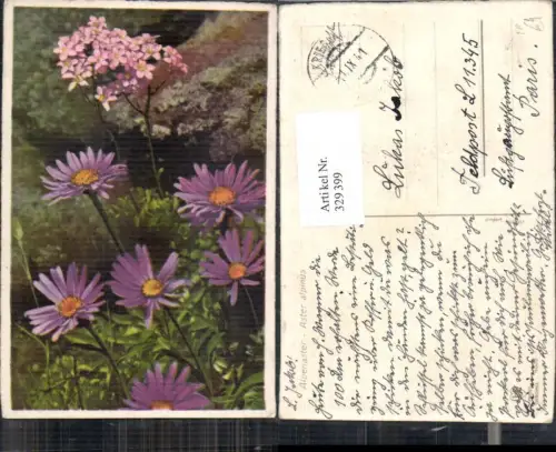 329399,Blumen Alpenaster Alpenflora Feldpost L 11345 Krieglach