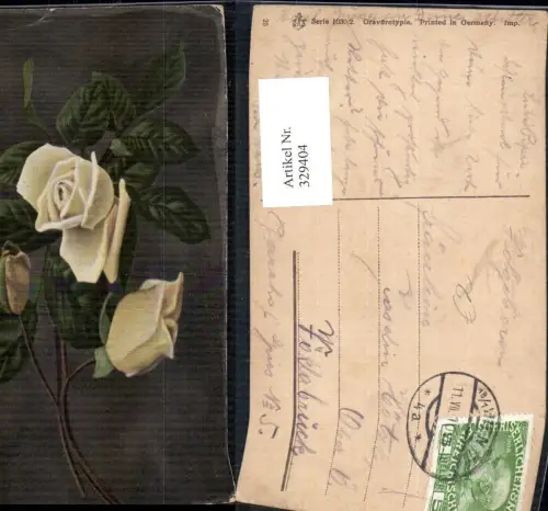 329404,Blumen Gelbe Rose Blüte Knospen