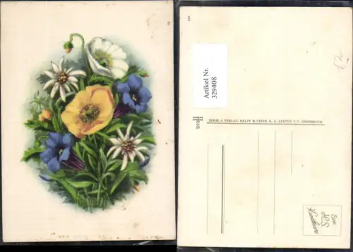 329408,Künstler Ak Blumen Enzian Edelweiß Alpenflora