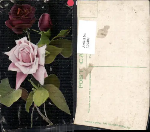 329409,Blumen Rosa u. Dunkelrote Rosen Blüten Knospe