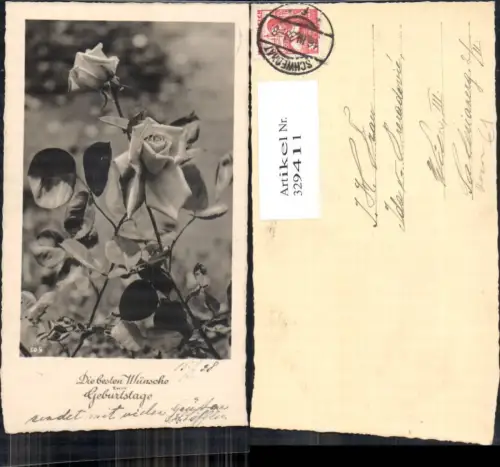 329411,Foto Ak Blumen Rosen Blüten Geburtstag Passepartout