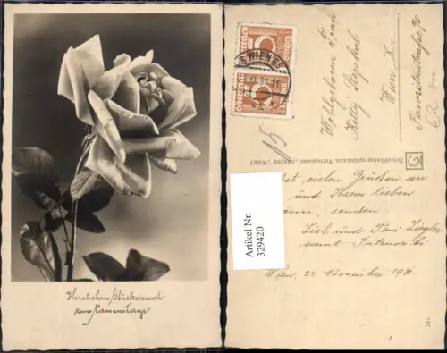 329420,Blumen Rose Blüte Namenstag