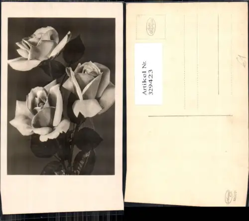 329423,Foto Ak Blumen Rosen Blüten