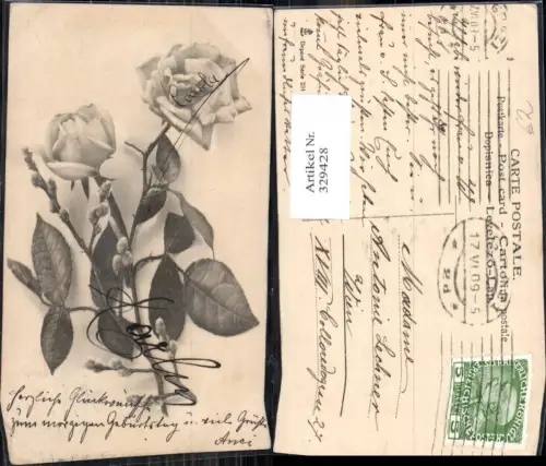 329428,Blumen Rosen Blüte Palmkätzchenzweig