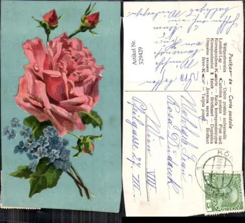 329429,Blumen Rote Rosen Blüte Knospe Vergissmeinnicht