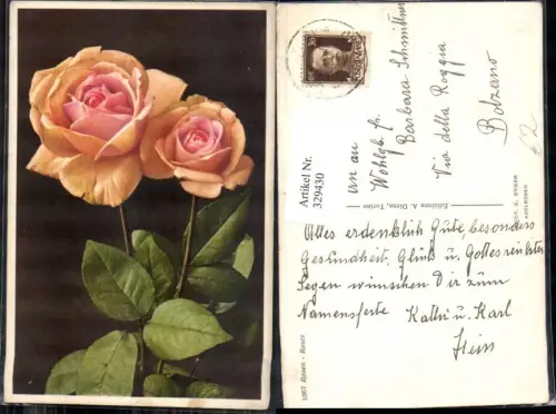 329430,Blumen Rosen Blüten