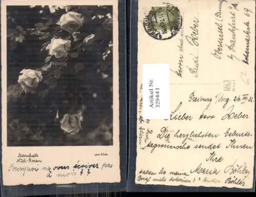 329441,Foto Ak Niel Rosen Blumen Passepartout
