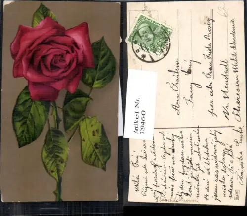 329460,Blumen Rote Rose Blüte