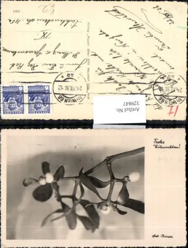 329847,Foto Ak Mistelzweig Blumen pub Ruwa Wien