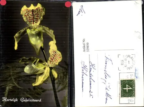 329850,Blumen Orchidee Hartelijk Gefeliciteerd