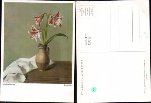 337516,Künstler Ak Herbert Böttger Amaryllis Blumen pub Wiechmann 7812