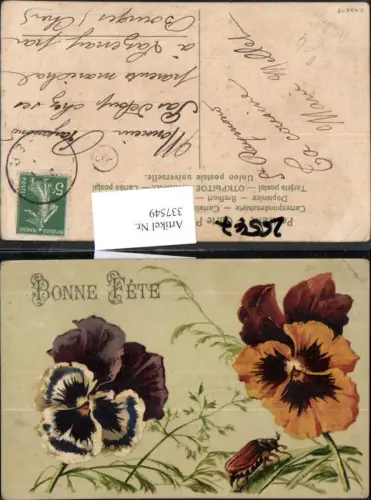 337549,Blumen Stiefmütterchen Käfer Maikäfer Bonne Fete