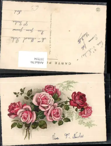 337554,Blumen Rosa Rote Rosen Blüten