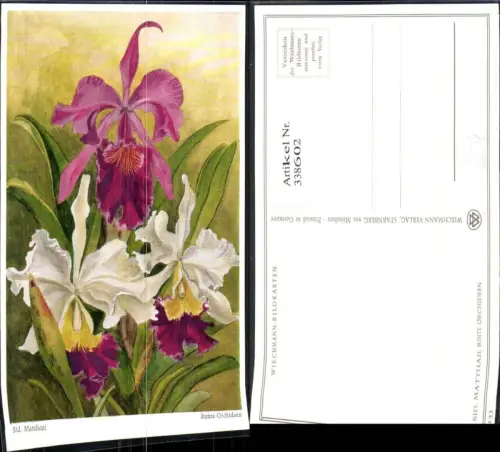 338602,Künstler Ak Sid. Matthaei Bunte Orchideen Blumen