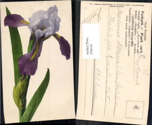 338610,Blumen Iris Blüte pub Martin Rommel Co 583