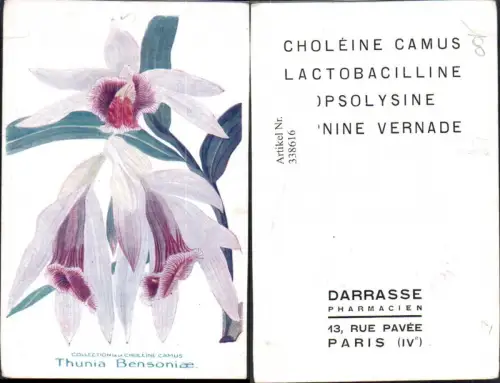 338616,Künstler Ak Blumen Thunia Bensoniae