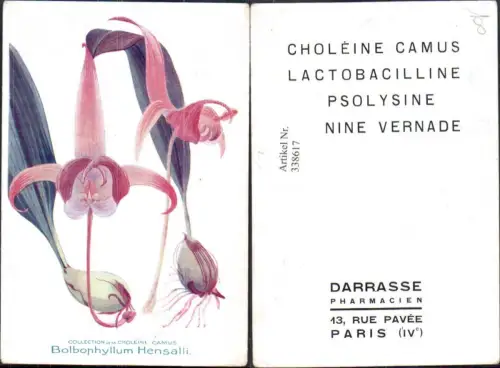 338617,Künstler Ak Blumen Bolbophyllum Hensalli