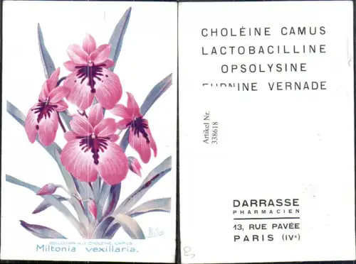 338618,Künstler Ak Blumen Miltonia vexillaria