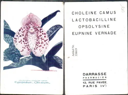338619,Künstler Ak Blumen Cypripedium Oliveum