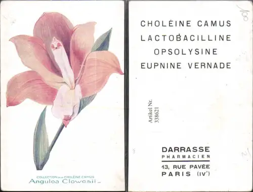 338621,Künstler Ak Blumen Anguloa Clowesii