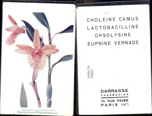 338622,Künstler Ak Blumen Dendrolium Brymerianum