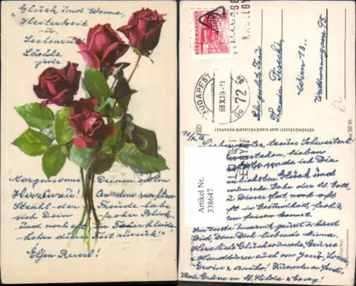 338647,Blumen Rote Rosen